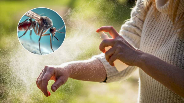 invasion-de-mosquitos:-como-hacer-el-repelente-casero-de-la-universidad-del-libre-ambiente-de-cordoba