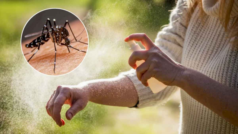 cual-es-el-repelente-mas-efectivo-contra-los-mosquitos-del-dengue,-segun-la-inteligencia-artificial