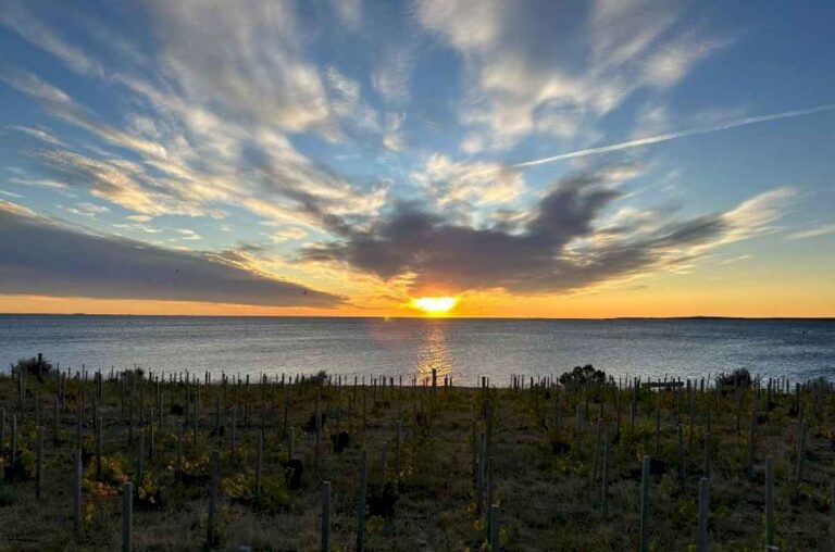 bahia-bustamante,-un-viaje-a-la-patagonia-remota-donde-hay-un-paraiso-al-sur-del-sur