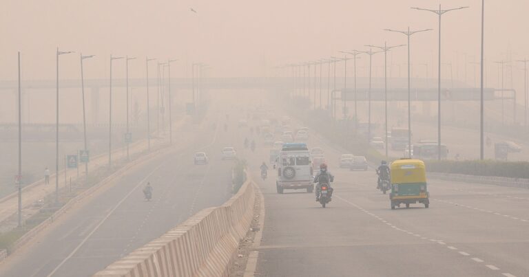 Nueva Delhi se convirtió nuevamente en la ciudad más contaminada del mundo por la caída de su calidad del aire