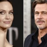 208747-tras-ocho-anos-angelina-jolie-y-brad-pitt-llegaron-a-un-acuerdo-de-divorcio