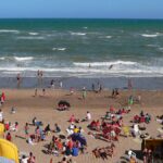 221555-las-mejores-actividades-para-hacer-en-la-playa-segun-la-inteligencia-artificial