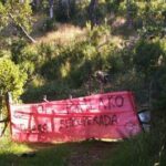 245650-chubut-el-frente-de-izquierda-y-los-trabajadores-unidad-dice-no-al-desalojo-del-lof-pailako