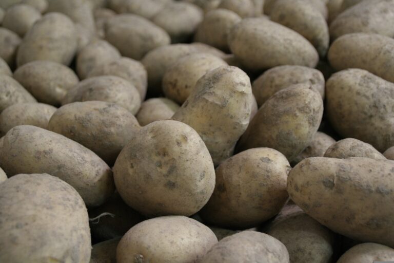 Cómo guardar las papas para que duren meses