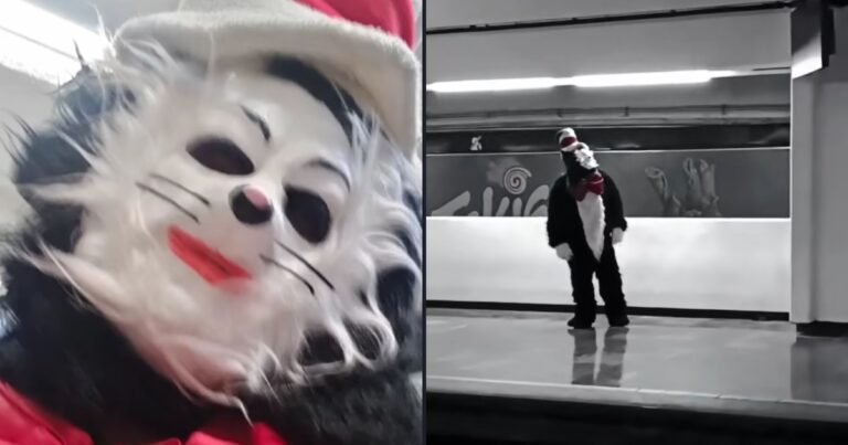 Metro CDMX: resurgen avistamientos del misterioso gato con sombrero