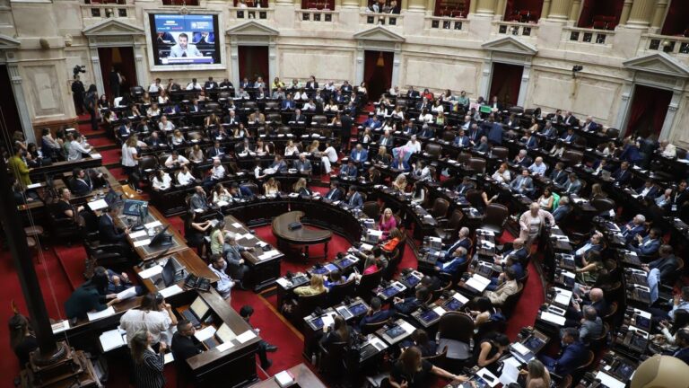 Diputados: el oficialismo busca darle media sanción al proyecto de Ficha Limpia