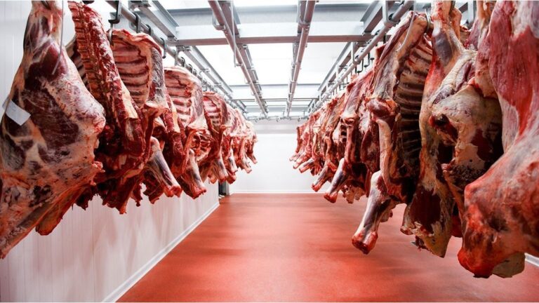 Chile suspendió la importación de carne argentina tras una desregulación del Gobierno