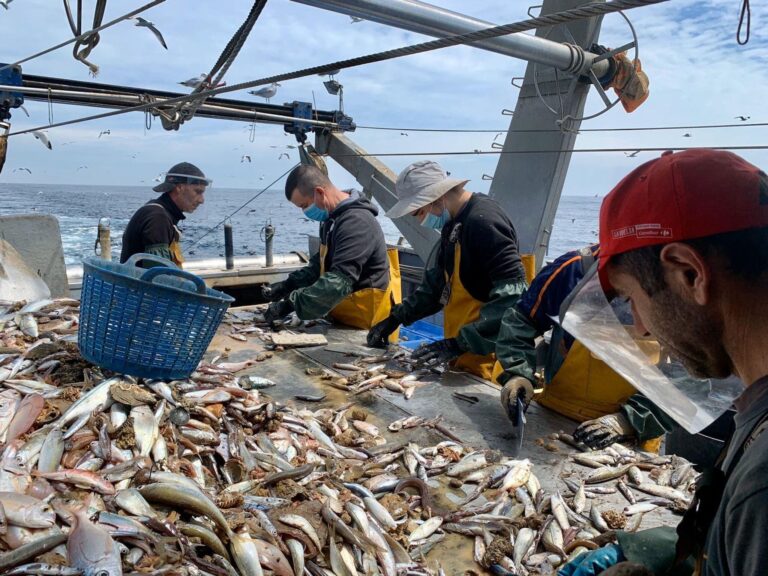 A la pesca de responsabilidad