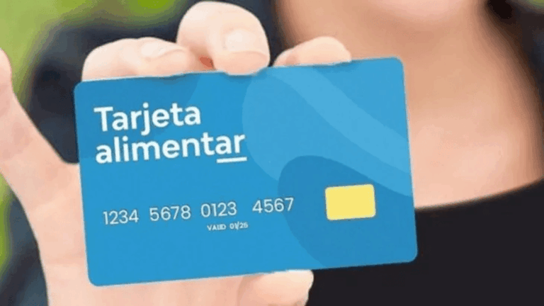 Cómo evitar perder la Tarjeta Alimentar? ANSES te ayuda a actualizar tus datos