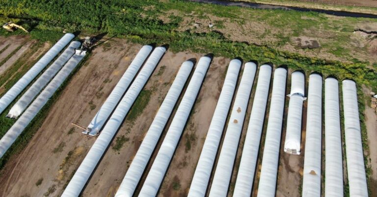 En cuánto quedarían los granos con las retenciones cero y hasta cuándo es la medida?