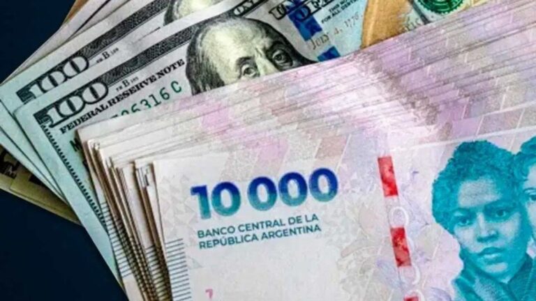 Dólar blue y dólar oficial hoy minuto a minuto: a cuánto cotizan este viernes 19 de diciembre