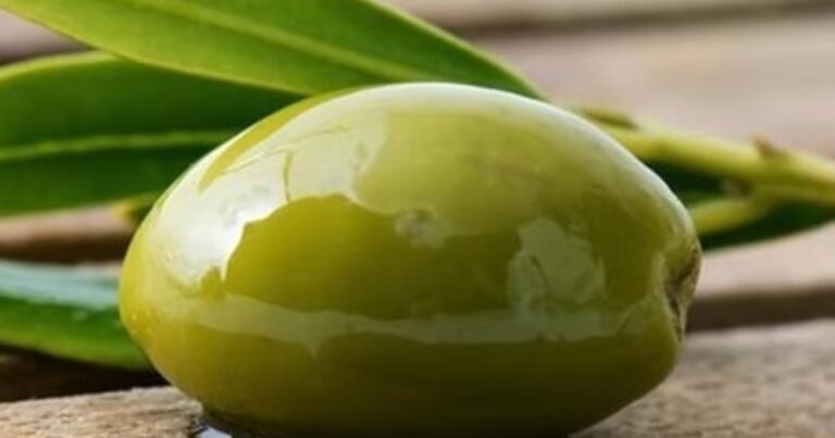 Carozos de aceituna en un recipiente, listos para ser reutilizados en el hogar.