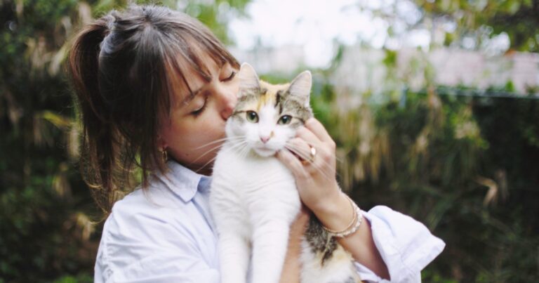 Gata de pelaje claro descansando en el patio de una casa, representando la historia de adopción en Río Cuarto.
