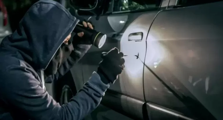 Gráfico estadístico sobre robos de vehículos en Argentina con mapa de zonas destacadas