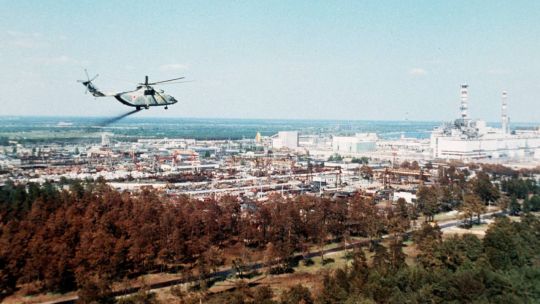 Vista del Bosque Rojo de Chernobyl, con árboles muertos de color rojizo en la zona de exclusión
