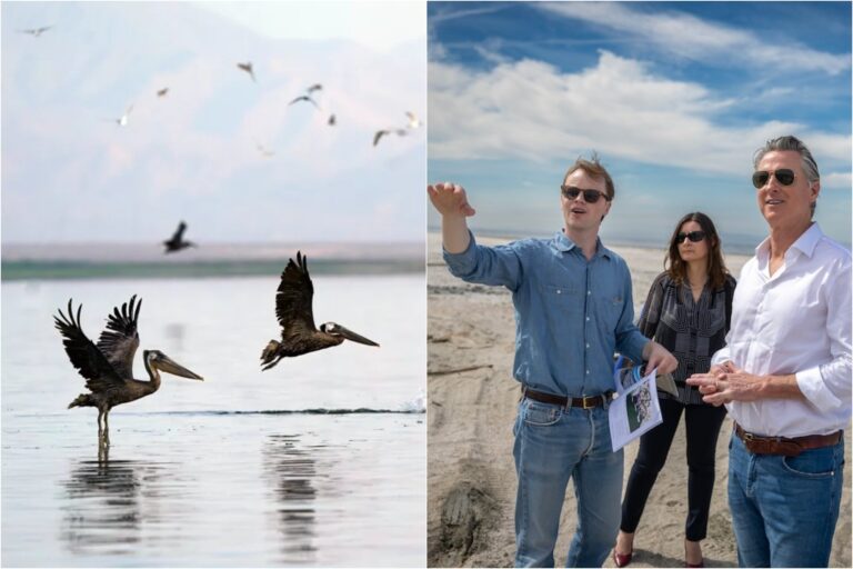Vista aérea del Lago Salton en California, mostrando su extensión y el paisaje árido circundante.
