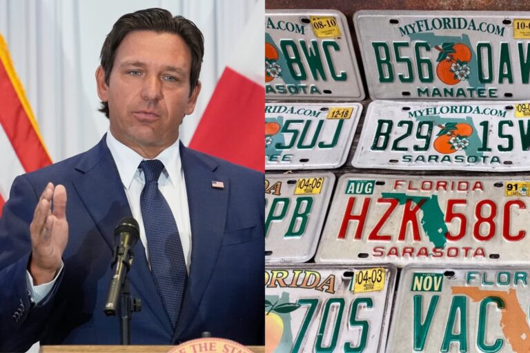 Ejemplo ilustrativo de una placa vehicular especial del estado de Florida con diseño conmemorativo.
