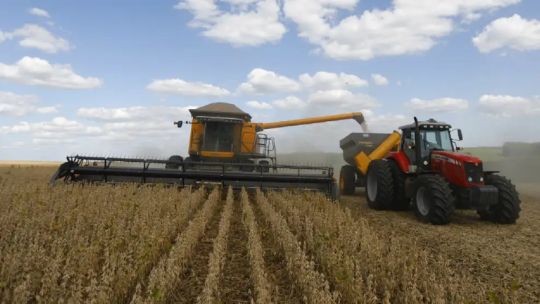 Campo agrícola en zona núcleo con paisaje rural