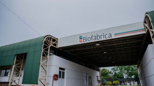 Edificio o logo de Biofábrica Misiones, representando la reestructuración del sector de biotecnología.