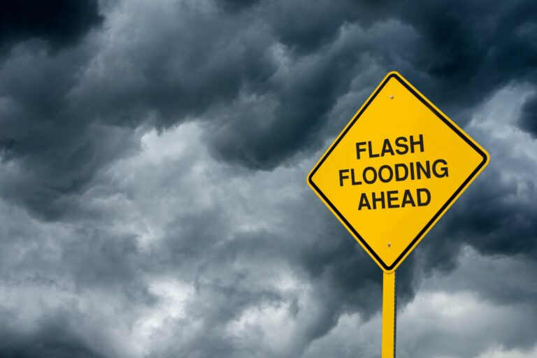 Mapa del pronóstico del tiempo mostrando sistemas frontales sobre Estados Unidos.