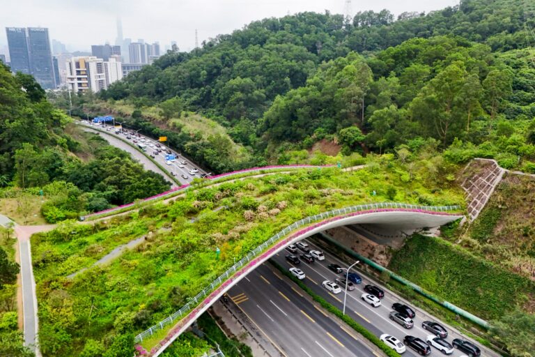 Puente del Sendero Kunpeng N°1, corredor ecológico en Shenzhen, China