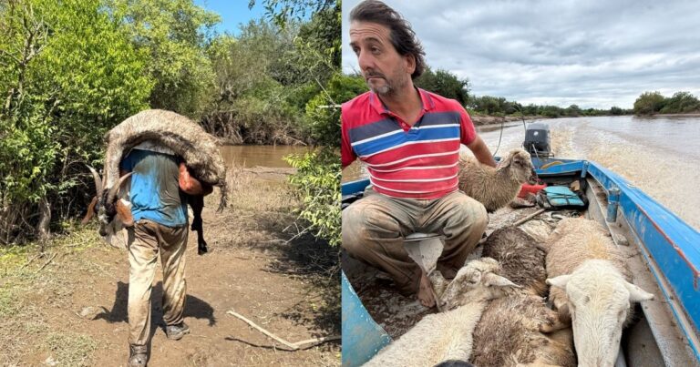 Operativo de rescate de animales en zona inundada de Tucumán, con voluntarios y una lancha.