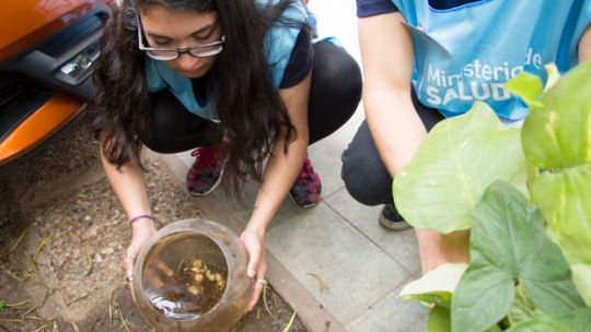Operativo de control de vectores y prevención del mosquito Aedes aegypti en el noroeste argentino.