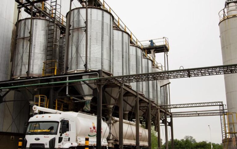 Granja avícola con pollos en galpón industrial