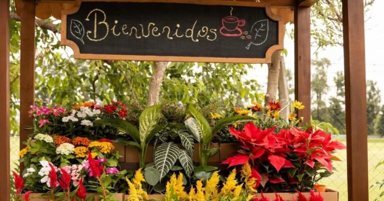 Maceta con tierra y lentejas germinadas como fertilizante natural