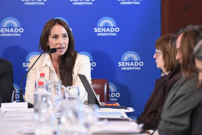 Sesión del Senado argentino