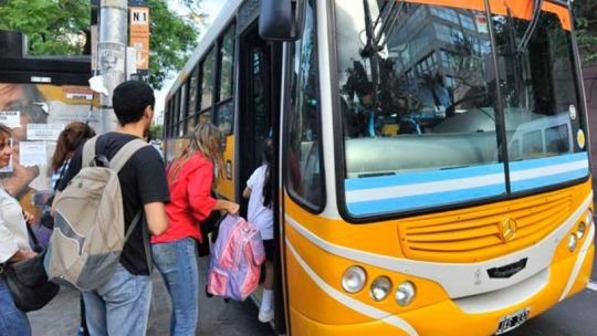 Colectivo de Coniferal en la ciudad de Córdoba