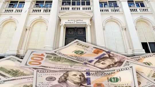 Gráfico del valor del dólar en Argentina