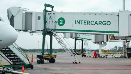 Documento del Boletín Oficial con la Resolución 833/2026 sobre la licitación de Intercargo