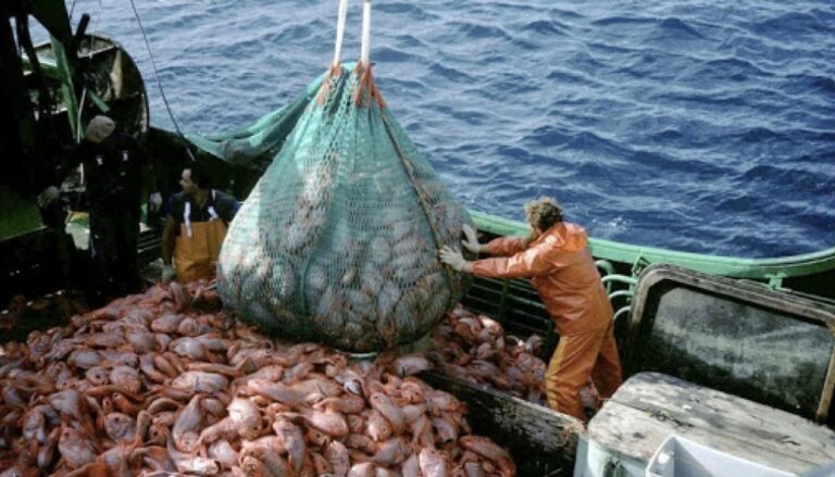 Buques pesqueros en el Atlántico Sur