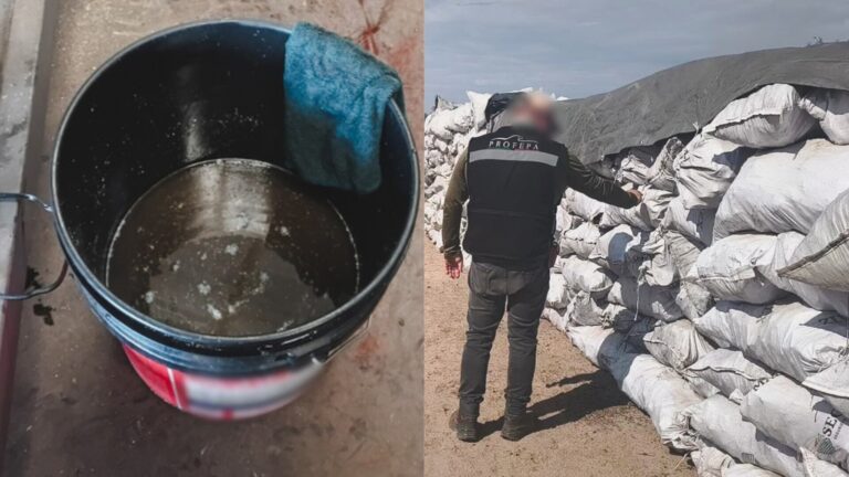 Inspección de Profepa en Durango