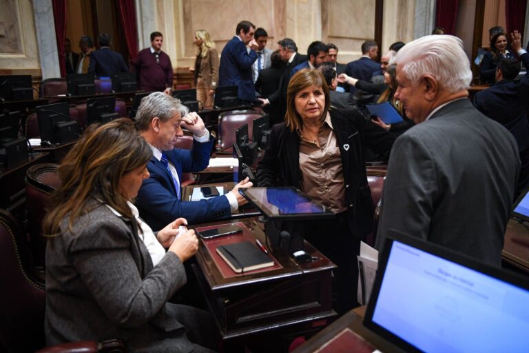 Senado argentino en sesión con legisladores en sus bancas