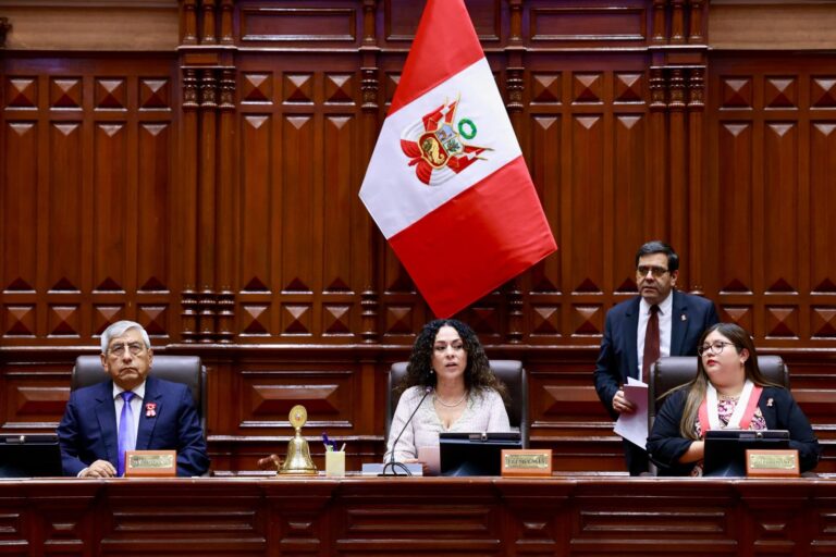 Cecilia Chacón en la Junta Preparatoria de la Cámara de Diputados