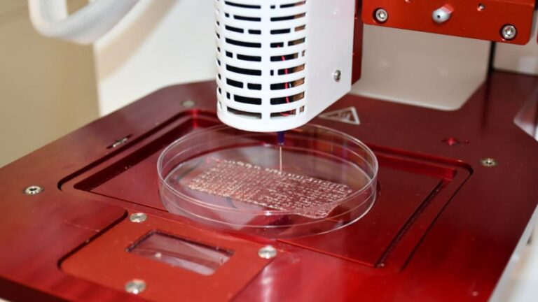 Parche bioimpreso en 3D para cicatrización de heridas crónicas desarrollado por la PUCP
