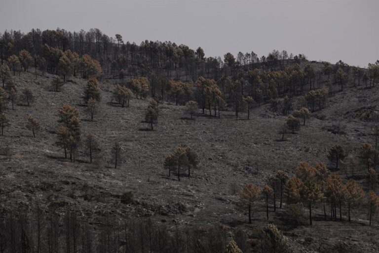 Emiliano García-Page en entrevista sobre cambio climático