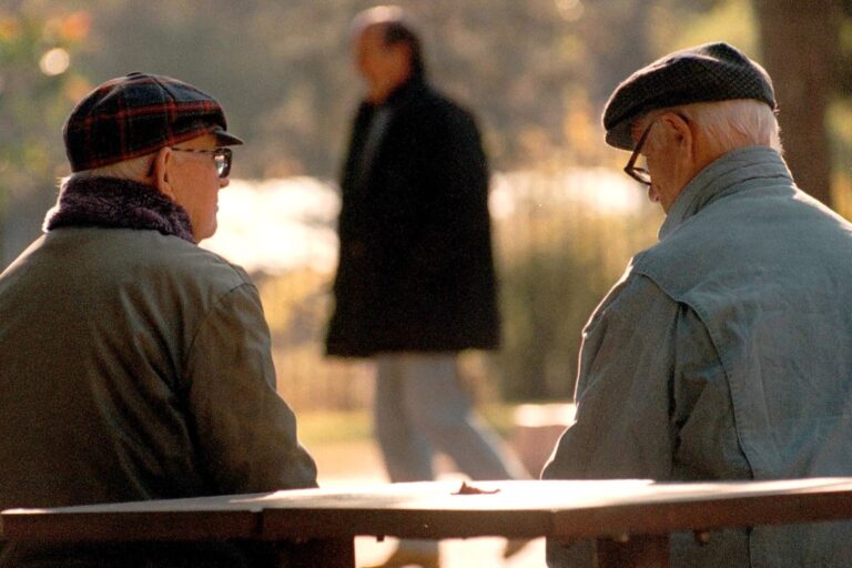 Tabla de montos de Pensiones No Contributivas de Anses para agosto de 2026