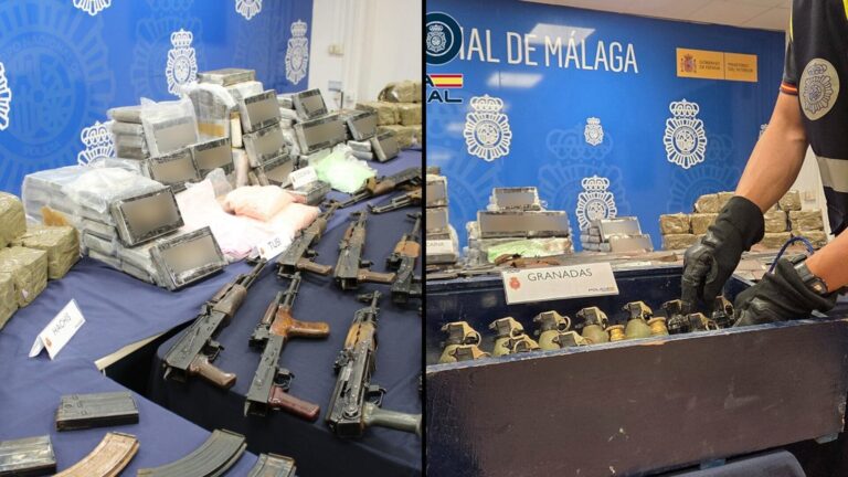 Armas incautadas por la Policía Nacional en Marbella
