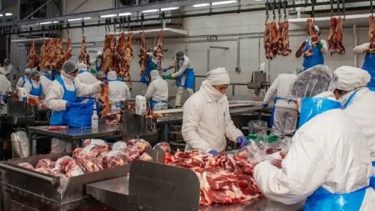 Carne vacuna argentina envasada