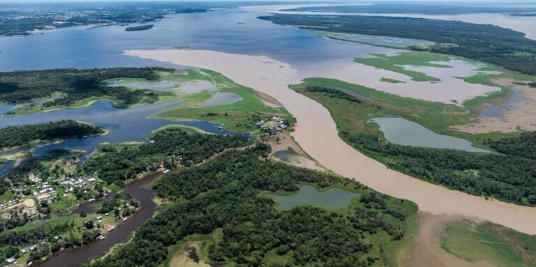 Selva amazónica con áreas deforestadas