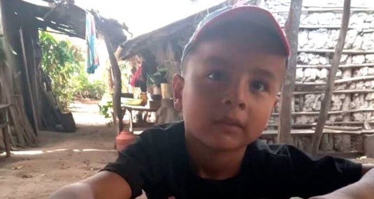 Zona del naranjal donde fue visto Loan Peña por última vez