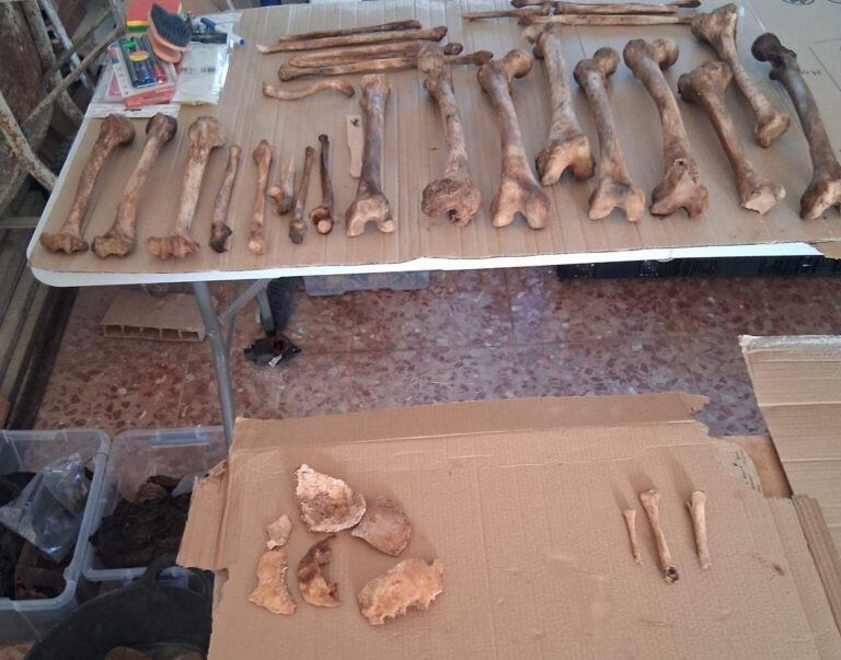 Trabajos de exhumación en el cementerio del Santo Ángel de la Guarda de Madridejos