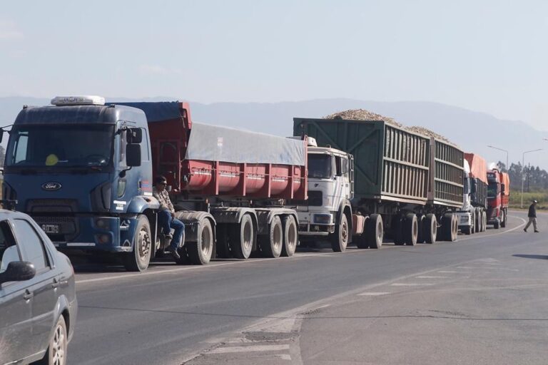 Camión de carga circulando por una ruta argentina