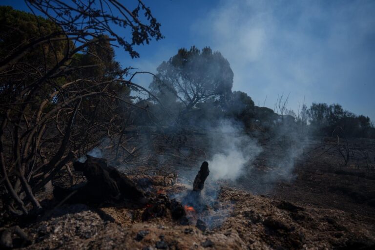 Medios aéreos sobrevolando la zona del incendio en Lucena del Puerto