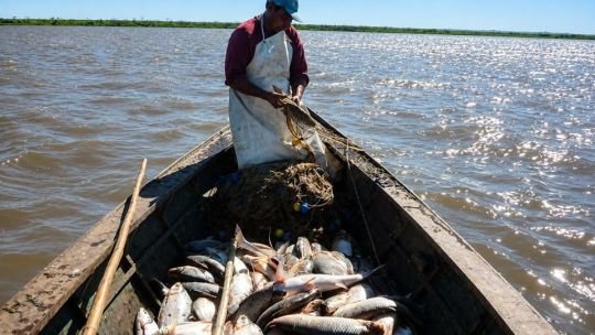 Pescadores en el río Paraná