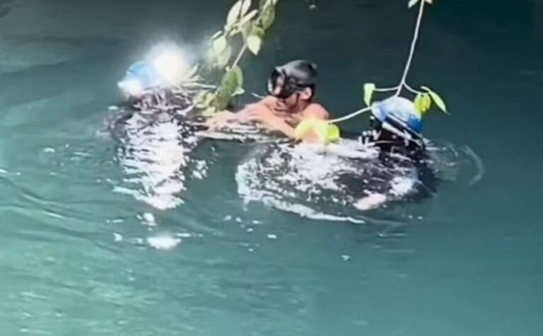 Pescador rescatado en camilla tras ser extraído de una cueva inundada en Veracruz, México