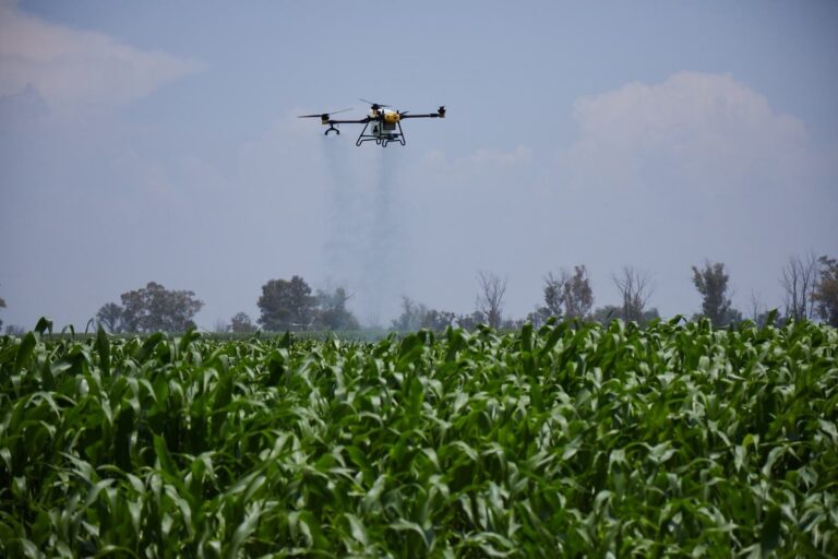 Campo experimental CAETEC del Tec de Monterrey en Querétaro